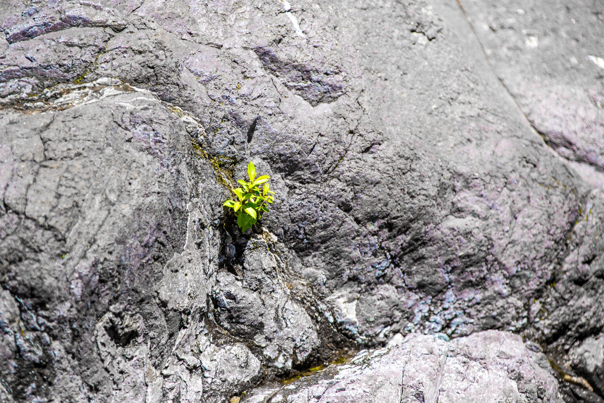 Digital Art & Design